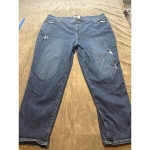 Lane Bryant Women's Jeans size 20w low‎ rise boyfriend